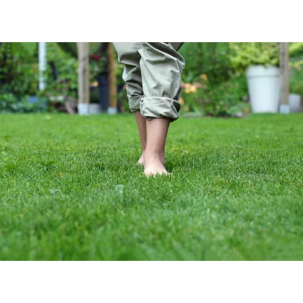 Clearance GreenCare Männynkuorikate , 70 säkkiä x 50 litraa/lava, 3500 litraa