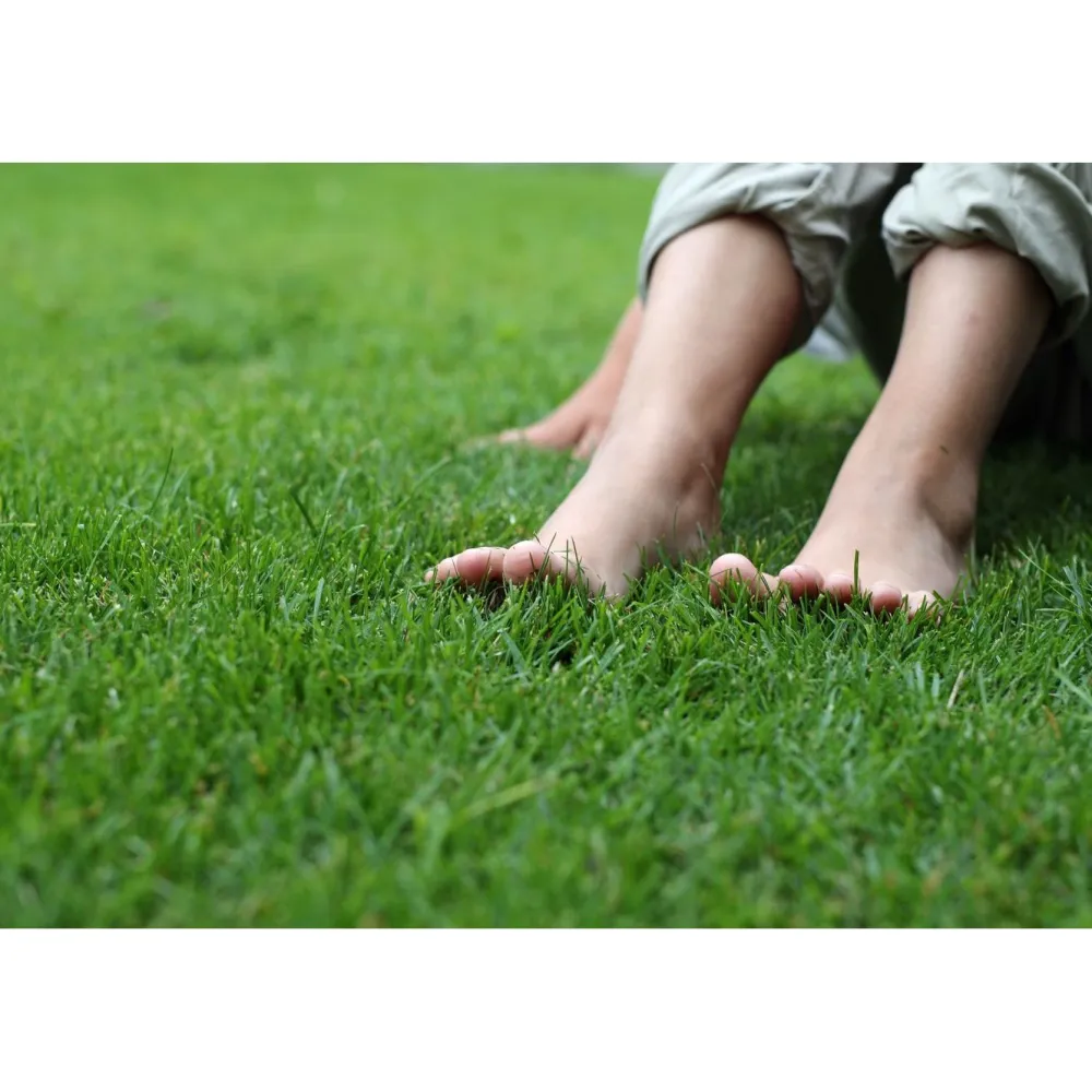 Clearance GreenCare Männynkuorikate , 70 säkkiä x 50 litraa/lava, 3500 litraa