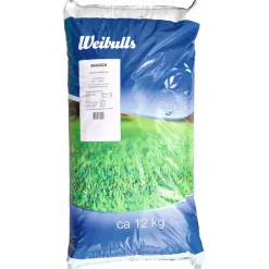 Best Weibulls Nurmikonsiemenet skugga 12kg