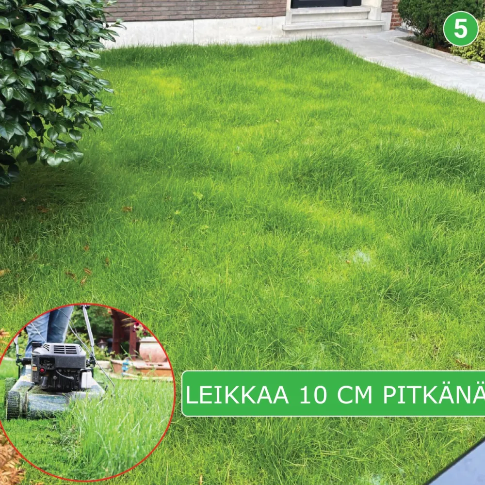 Clearance Turfquick Nurmikon siemenmatto Golfgreen, 10 m²