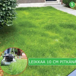Online Turfquick Nurmikon siemenmatto Sport, 40 m²