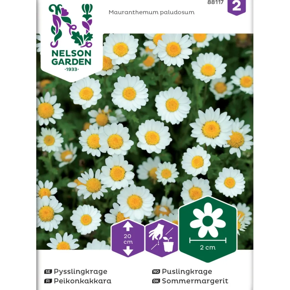 New Nelson Garden Peikonkakkara , siemenet