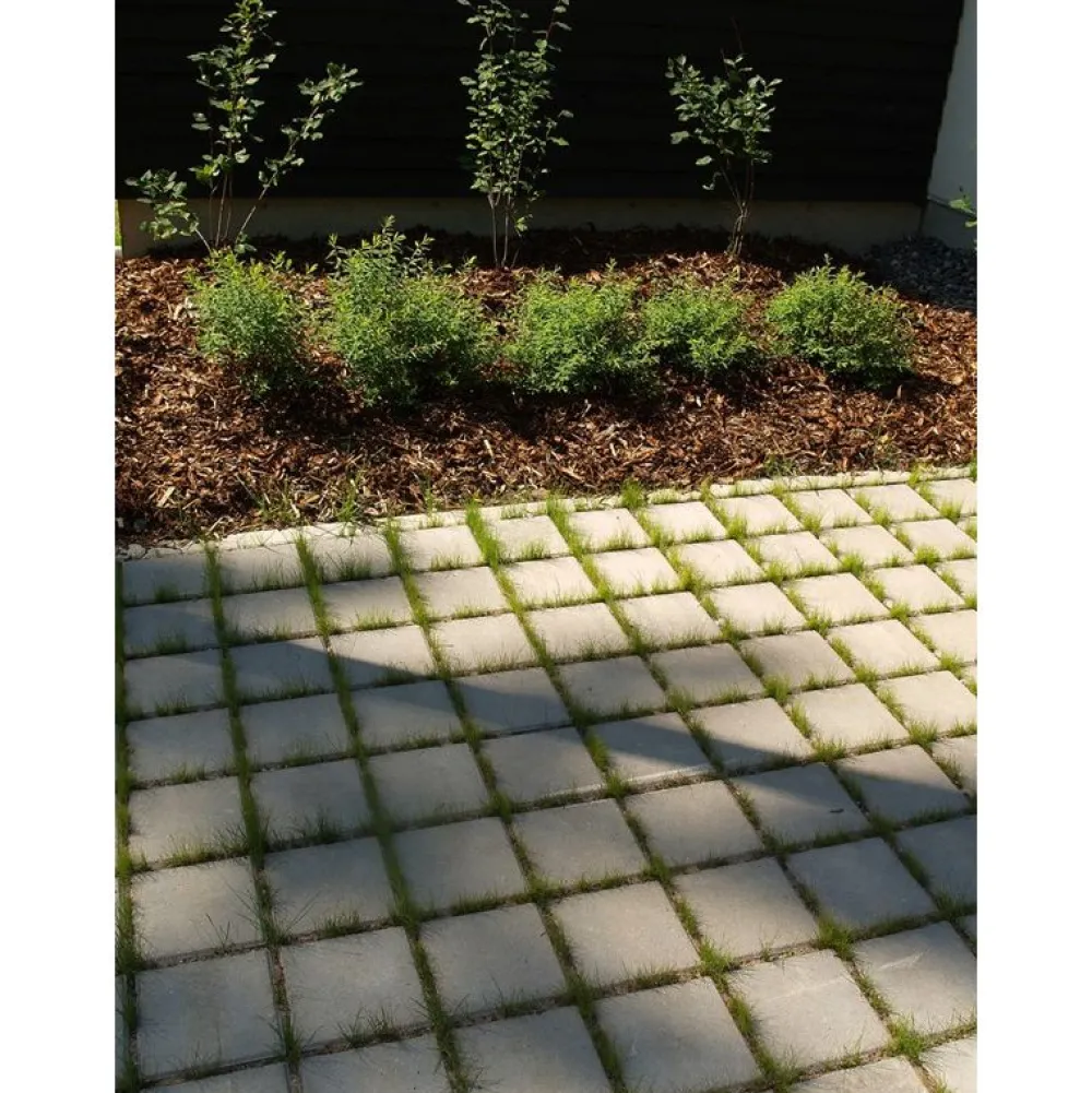 Hot Rudus Pihakivi Akvakivi 197x197x80 mm sileä harmaa