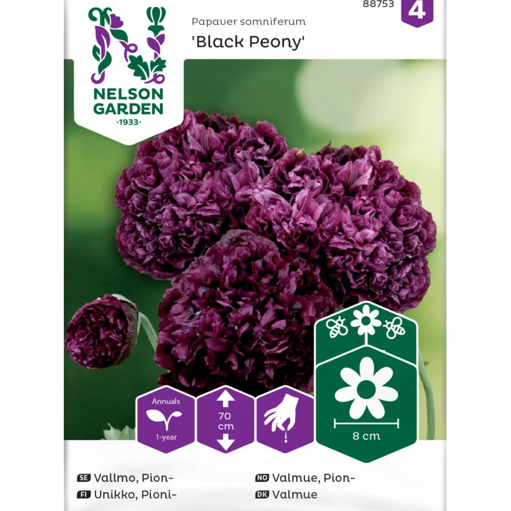 Discount Nelson Garden Pioniunikko Black Peony, siemenet