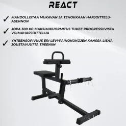 React Pohjelaite 100