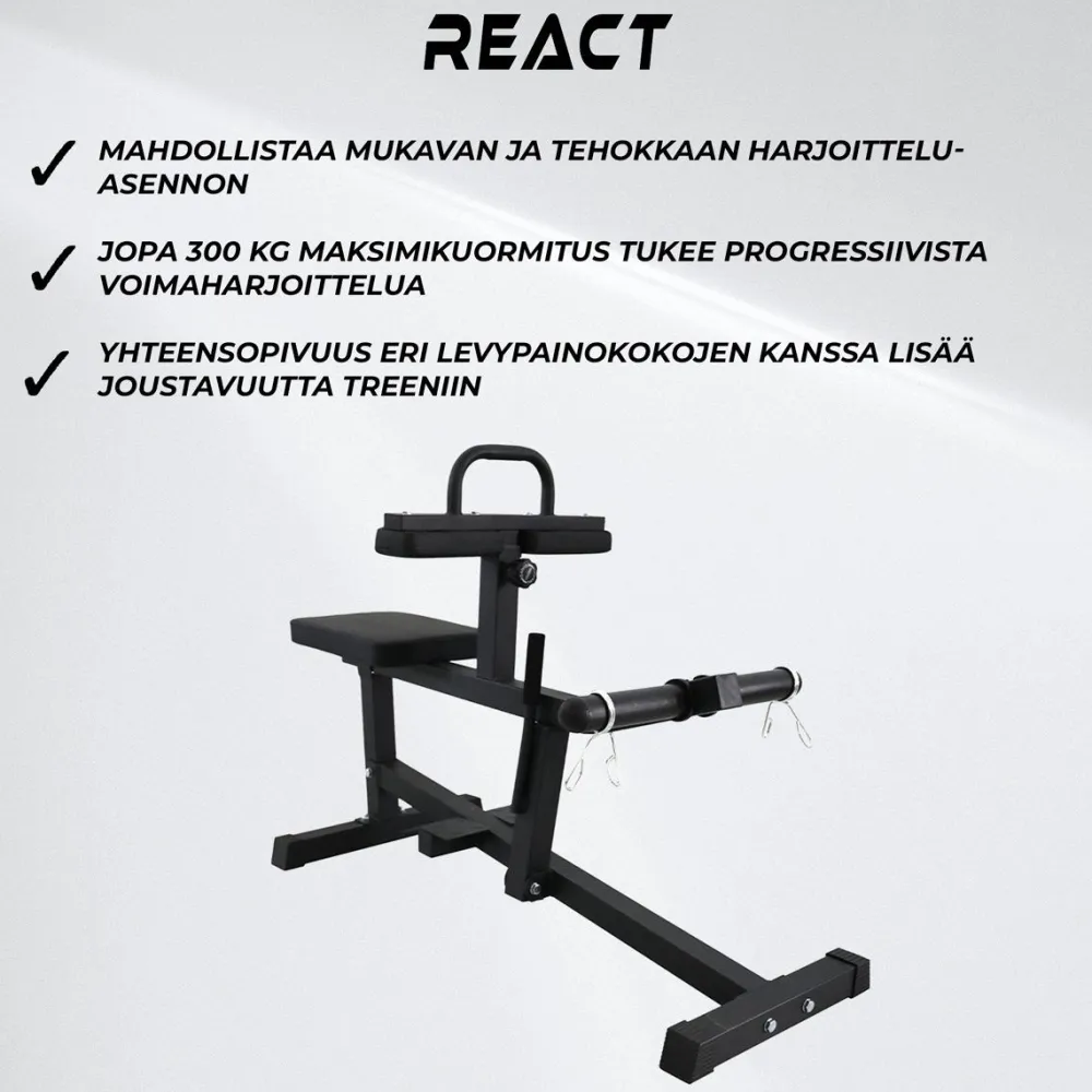 React Pohjelaite 100
