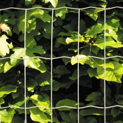 Best Hortus Puutarha-aita 5x10cm 0,8x25m galvanoitu