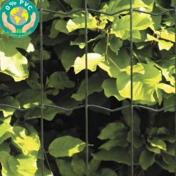 Hot Hortus Puutarha-aita 5x10cm 0,8x25m 0% PVC musta