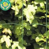 Sale Hortus Puutarha-aita 10x10cm 0,9x25m 0% PVC vihreä