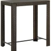 FinePRICE Puutarhan baaripöytä ruskea 100x60,5x110,5 cm polyrottinki
