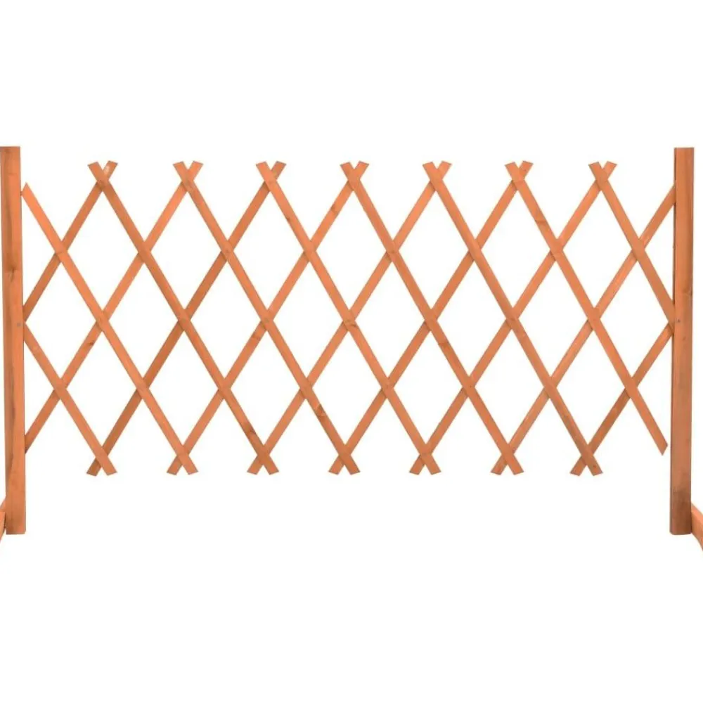Best FinePRICE Puutarhan säleikköaita oranssi 150x80 cm täysi kuusi