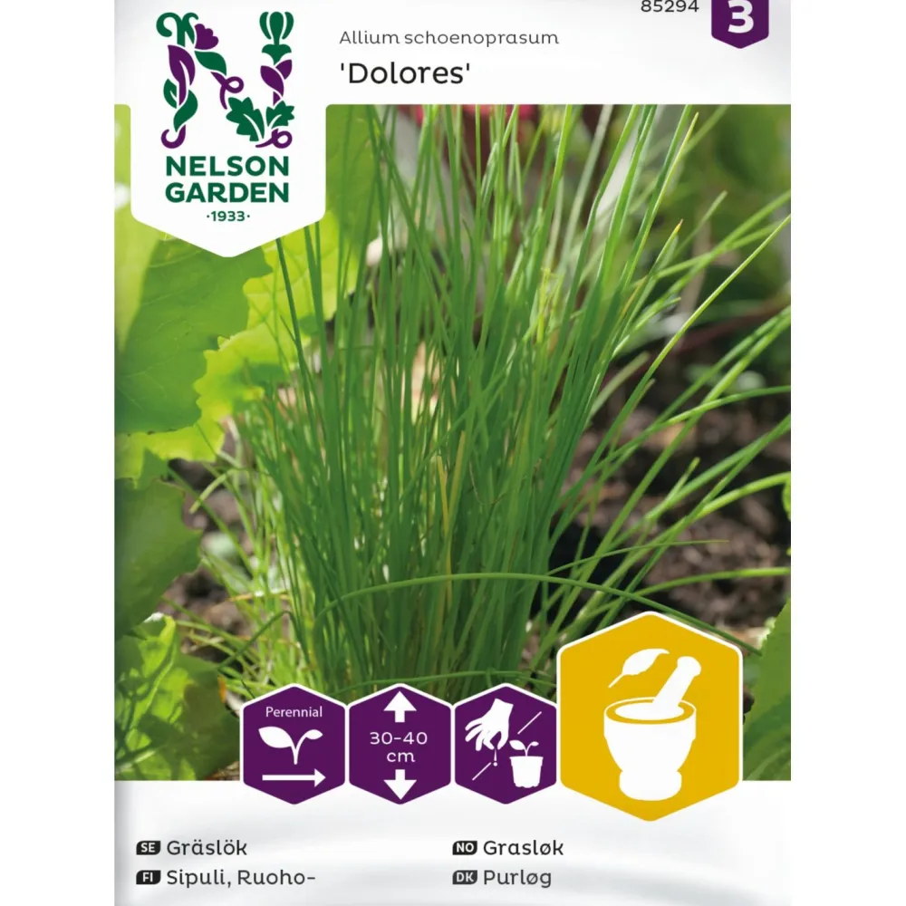 Clearance Nelson Garden Ruohosipuli Dolores, siemenet