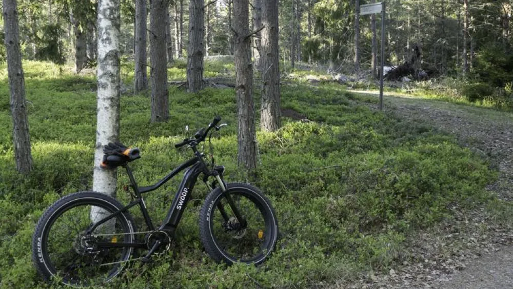 Sale Swoop Sähkömaastopyörä Fatbike Attacker, 26x4", 7 vaihdetta, musta
