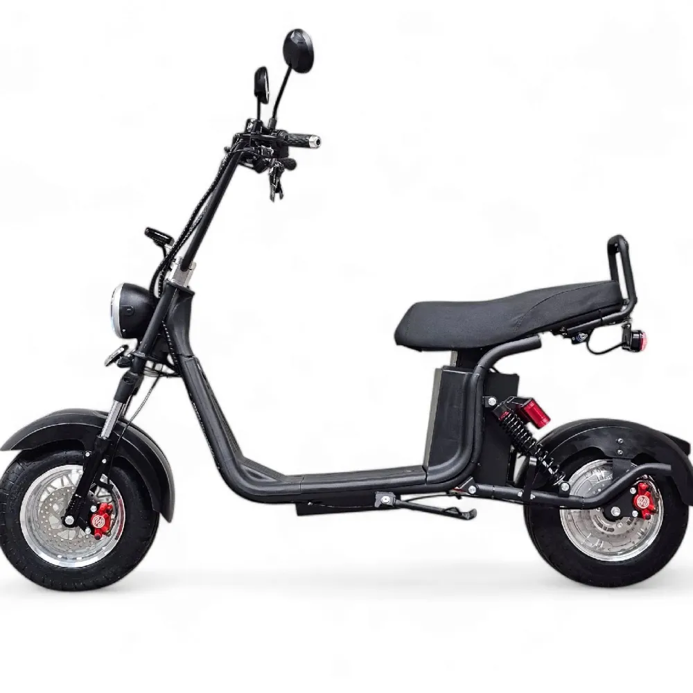 Hot E-go Sähköskootteri Evolution 1000 W musta