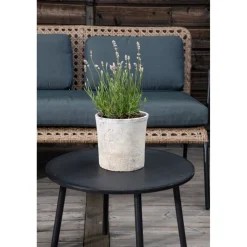 Clearance Venture Home Sohvaryhmä Paola Sofa