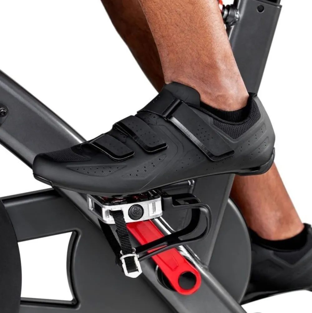 Discount Schwinn Spinningpyörä IC8 Indoor max. 150 kg