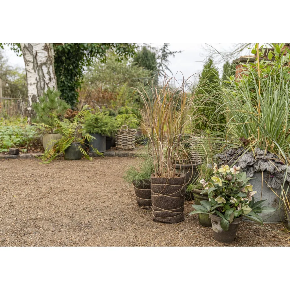 New Nelson Garden Talvisuojavilla kasveille , 150x50cm