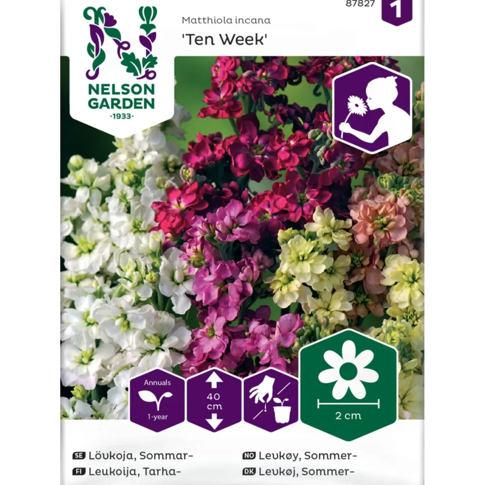 Clearance Nelson Garden Tarhaleukoija Ten Week, siemenet