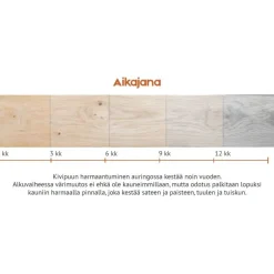 Aureskoski Terassilauta Kivipuu SHP 28x120mm mänty