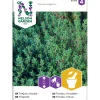 Sale Nelson Garden Timjami , siemenet