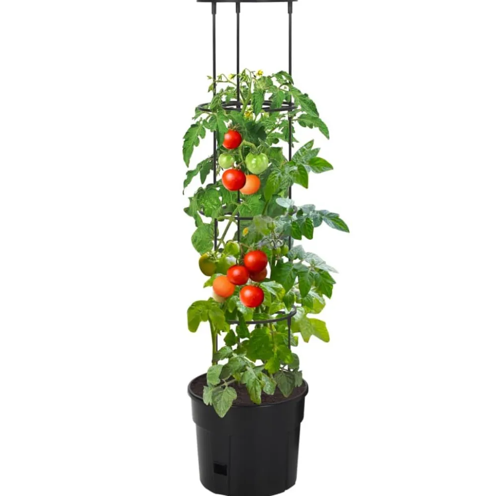 Online FinePRICE Tomaattiruukku antrasiitti Ø29,5x115 cm polypropeeni (52209)