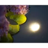 Discount Ubbink Valaisin AquaLight 30 LED