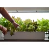 Sale Nelson Garden Vesiviljelylaatikko Harvy6, 80cm, valkoinen